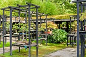 Pavillon aux Bonsaïs, Parc Floral Vincennes, Ile de France, Paris, France