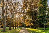 Entrance driveway to the Bois de Vincennes Arboretum, Paris, France