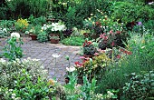 Flower terrace. Potted pelargoniums. Turn End. England.