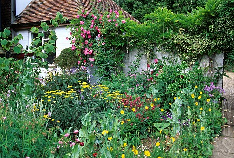 Perennial_bed_Wall_climbing_rose_Church_Hill_Cottage_England_AVP