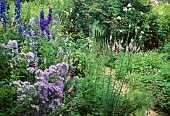 Wild garden: Campanula lactiflora (bellflower), Linaria purpurea, Delphinium, Mr and Mrs Broeckaert, Belgium