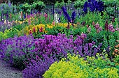 Perennial bed; Delphinium (larkspur), Lupinus (lupin), Geranium, Lysimachia (lysimachia). Floors Castle. GB. Garden citation required.