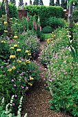 Gravel path, Lupinus, Alchemilla, Phlomis russeliana, Geranium Claridge Rose, Hall Farm, England