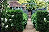 Hedge: Taxus baccata (common yew), Arbour, Garden entrance, Rosa (rose). Greys Court. England