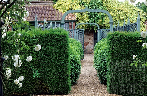 Hedge_Taxus_baccata_common_yew_Arbour_Garden_entrance_Rosa_rose_Greys_Court_England