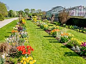 Spring beds at the Ecole du Breuil, Bois de Vincennes, Paris, France