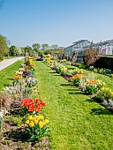 Spring beds at the Ecole du Breuil, Bois de Vincennes, Paris, France
