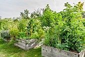 Vegetable garden of the Ecole du Breuil, Paris, France.