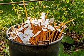 Tag collection, Autumn garden clean-up