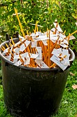 Tag collection, Autumn garden clean-up