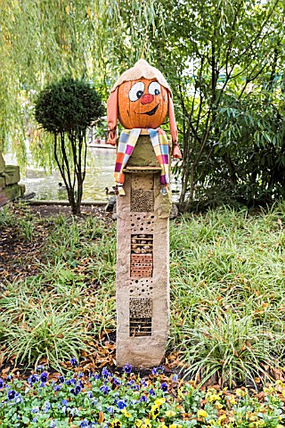 Decorated_pumpkins_for_Halloween_in_an_insect_hotel_Germany