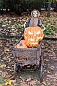 Halloween display using pumpkins and skeleton in a garden, Germany