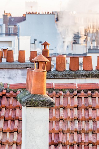 Chimneys_on_Parisian_rooftops_France