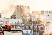Chimneys on Parisian rooftops, France