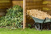 Straw in a wheelbarrow and plant debris from garden maintenance, Garden shed