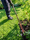 Hoeing flower beds