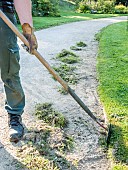 Weeding driveway edges