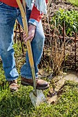 Man digging a drainage trench in waterlogged ground after a storm.