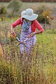 Female cutting faded perennials in autumn.