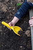 Child gardening in a tub in the spring, Pas de Calais, France