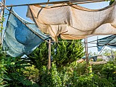 Garden decoration, Ecole du Breuil, Paris, France