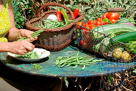 Harvesting_in_the_vegetable_garden