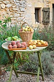 Harvesting the orchard