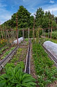 Les jardins Rocambole, Artistic vegetable and botanical gardens in organic farming, A meeting between art and Nature, vegetable garden, cultivation of vegetables, La Lande aux Pitois, Corps Nuds, Ille-et-Vilaine (35), Brittany, France