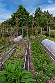 Les jardins Rocambole, Artistic vegetable and botanical gardens in organic farming, A meeting between art and Nature, vegetable garden, cultivation of vegetables, La Lande aux Pitois, Corps Nuds, Ille-et-Vilaine (35), Brittany, France