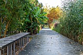 The Garden of the Giants in autumn, Lille, Hauts de France, France