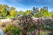 The Garden of the Giants in autumn, Lille, Hauts de France, France