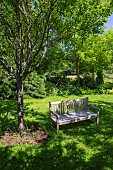 Jardin Cali Canthus, ornamental garden, decorative, visited by the public, bench, tranquility in the middle of the garden, Saint Maurice (67220), Alsace, Bas Rhin (67), Grand Est Region, France