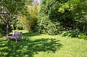 Jardin Cali Canthus, ornamental garden, decorative, visited by the public, bench, tranquility in the middle of the garden, Saint Maurice (67220), Alsace, Bas Rhin (67), Grand Est Region, France