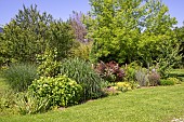 Jardin Cali Canthus, ornamental garden, decorative, visited by the public, plant composition, Saint Maurice (67220), Bas Rhin (67), Alsace, Grand Est Region, France