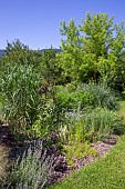 Jardin Cali Canthus, ornamental garden, decorative, visited by the public, plant composition, Saint Maurice (67220), Bas Rhin (67), Alsace, Grand Est Region, France