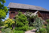 Jardin Cali Canthus, ornamental garden, decorative, visited by the public,various flowers, Saint Maurice (67220), Bas Rhin (67), Alsace, Grand Est Region, France