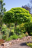 Jardin Cali Canthus, ornamental garden, decorative, visited by the public,various flowers, Saint Maurice (67220), Bas Rhin (67), Alsace, Grand Est Region, France