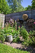 Jardin Cali Canthus, ornamental garden, decorative, visited by the public, Plant exuberance, Saint Maurice (67220), Bas Rhin (67), Alsace, Grand Est Region, France