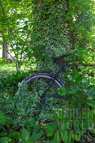 Jardin_Cali_Canthus_ornamental_garden_decorative_visited_by_the_public_old_bicycle_buried_in_vegetat