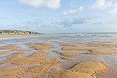 Plage du Veillon, Pointe du Payré, Site Natura 2000, Talmont St Hilaire, Vendée, Pays de Loire, France