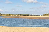 Estuary of Payré, Veillon Beach, Natura 2000 site, Talmont St Hilaire, Vendée, Pays de Loire, France
