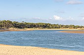 Estuary of Payré, Veillon Beach, Natura 2000 site, Talmont St Hilaire, Vendée, Pays de Loire, France