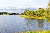 Lake Finfarine, Poiroux, Marais vendéen, Talmont St Hilaire, Vendée, Pays de Loire, France