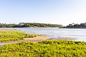 Estuary of Payré, Guittière Port, Natura 2000 site, Talmont St Hilaire, Pays de Loire, Vendée, France