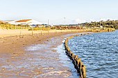 Estuary of Payré, Guittière Port, Natura 2000 site, Talmont St Hilaire, Pays de Loire, Vendée, France