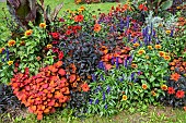 Mixed border in a garden in summer, Nord, France