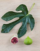 Leaf and fruit of the Green Sugar fig, with large green fruit and red flesh.