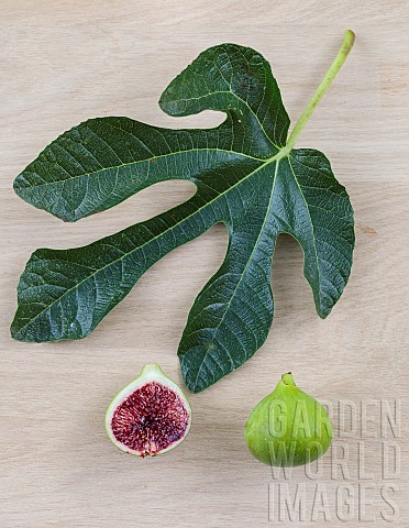 Leaf_and_fruit_of_the_Green_Sugar_fig_with_large_green_fruit_and_red_flesh