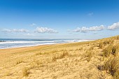 Plage de la Terrière, La Tranche-sur-Mer, Pays de Loire, Vendée, France