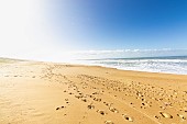 Plage de la Terrière, La Tranche-sur-Mer, Pays de Loire, Vendée, France